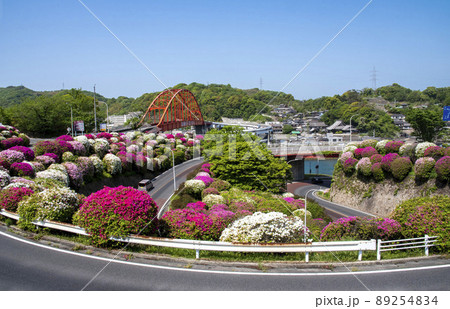 ツツジが咲く音戸大橋の風景 89254834