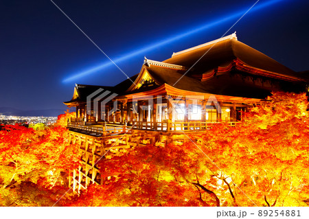 清水寺　紅葉 89254881