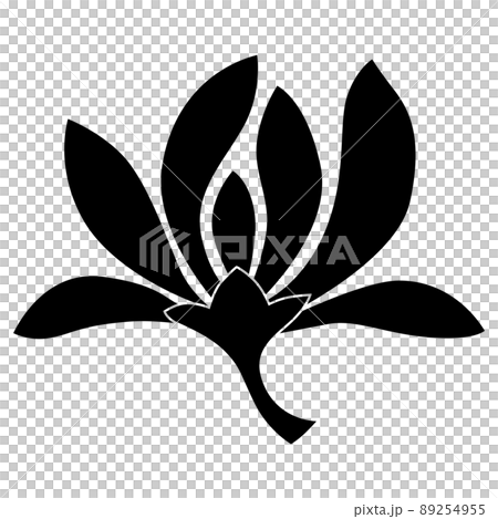 It is a family crest. It is called Ochiran. 89254955