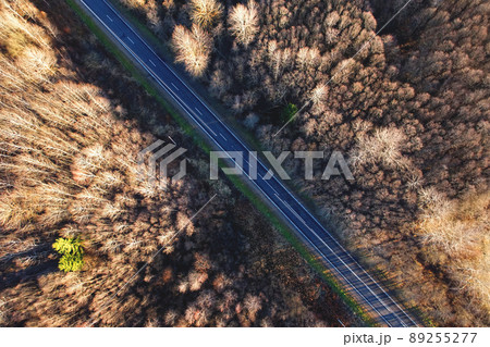 Highway in the forest with trees in the autumn season, top view. 89255277