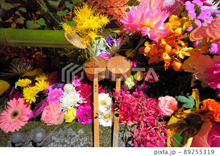 勝林寺　紅葉 89255319