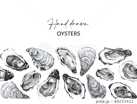 Design with hand drawn oysters 89255411