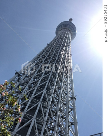 東京スカイツリー 東京スカイツリー 89255431
