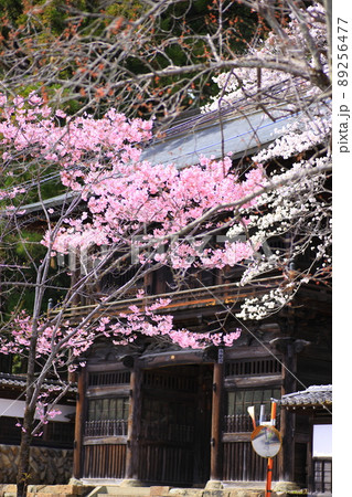 あきる野市 大悲願寺の桜 あきる野市 大悲願寺の桜 89256477
