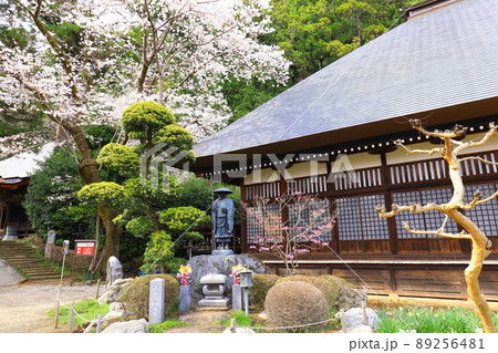 あきる野市 大悲願寺の桜 あきる野市 大悲願寺の桜 89256481