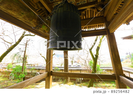 あきる野市 大悲願寺の桜 あきる野市 大悲願寺の桜 89256482