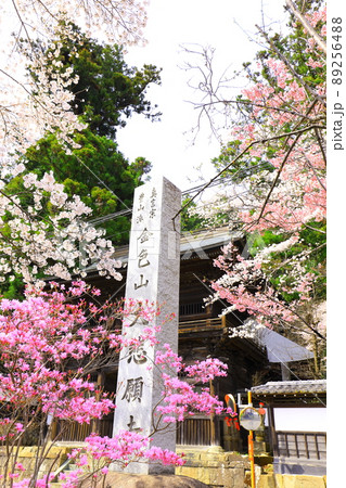 あきる野市　大悲願寺の桜 89256488