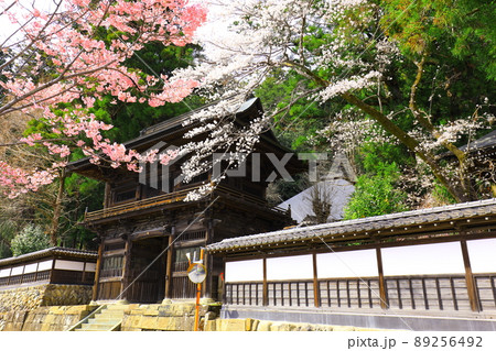 あきる野市 大悲願寺の桜 あきる野市 大悲願寺の桜 89256492