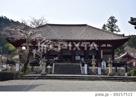 春の當麻寺曼荼羅堂 89257515