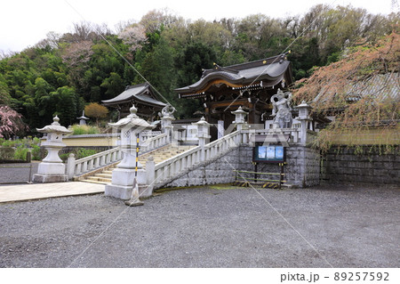 八王子市高月町　圓通寺 89257592