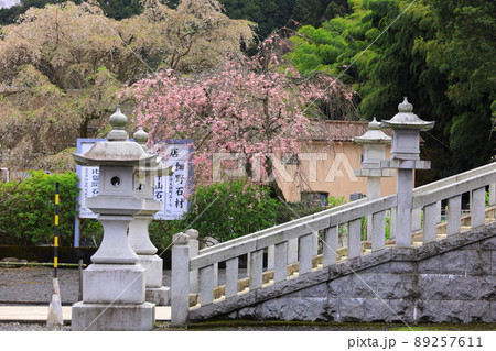 八王子市高月町 圓通寺 八王子市高月町 圓通寺 89257611