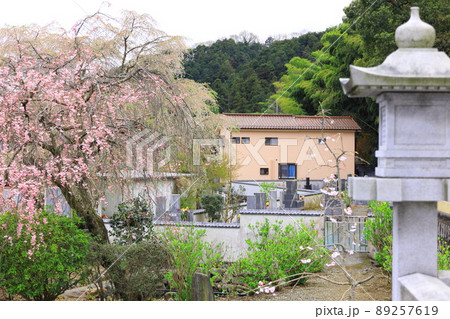 八王子市高月町　圓通寺 89257619