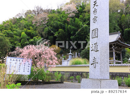 八王子市高月町　圓通寺 89257634