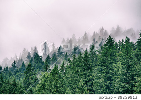 Misty mountain landscape 89259913