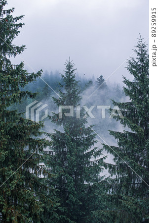Misty mountain landscape Misty mountain landscape 89259915