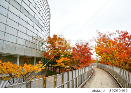 白山公園　空中庭園（新潟県） 89260466