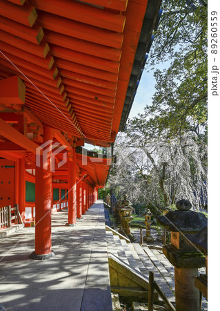 春日大社　西回廊 89260559