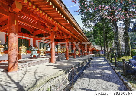 春日大社　回廊の釣灯籠 89260567