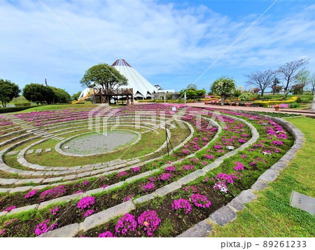 出水市ツル博物館クレインパークいずみ  庭園風景　 89261233