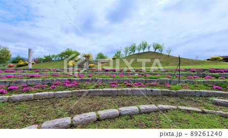 出水市ツル博物館クレインパークいずみ  庭園風景　 89261240