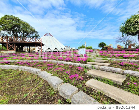 出水市ツル博物館クレインパークいずみ 庭園風景 出水市ツル博物館クレインパークいずみ 庭園風景 89261244