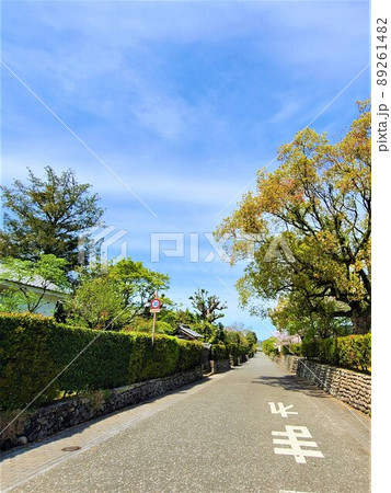 出水麓武家屋敷群 竹添邸 周辺風景 新緑の頃 出水麓武家屋敷群 竹添邸 周辺風景 新緑の頃 89261482