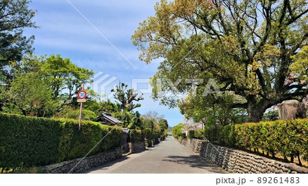 出水麓武家屋敷群 竹添邸 周辺風景 新緑の頃 出水麓武家屋敷群 竹添邸 周辺風景 新緑の頃 89261483