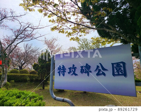 出水特攻碑公園 桜の散る頃(特別攻撃隊出撃の地:260余名南方へ) 出水市平和町 鹿児島県 出水特攻碑公園 桜の散る頃(特別攻撃隊出撃の地:260余名南方へ) 出水市平和町 鹿児島県 89261729