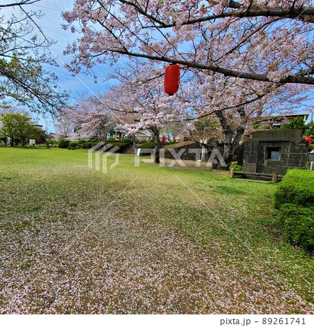 出水特攻碑公園 桜の散る頃(特別攻撃隊出撃の地:260余名南方へ) 出水市平和町 鹿児島県 出水特攻碑公園 桜の散る頃(特別攻撃隊出撃の地:260余名南方へ) 出水市平和町 鹿児島県 89261741
