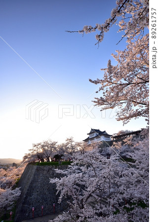 鶴山公園（津山城）の桜 89261757