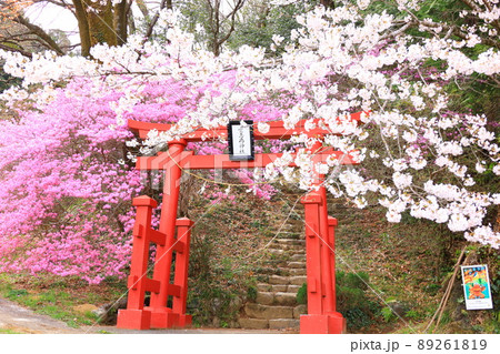 あきる野市 網代弁天山の桜 あきる野市 網代弁天山の桜 89261819