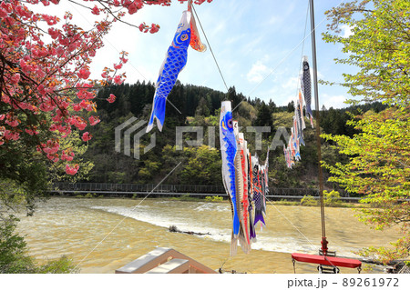 道の駅白鷹ヤナ公園 鯉のぼり 道の駅白鷹ヤナ公園 鯉のぼり 89261972