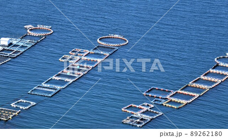針尾公園からの風景 養殖いかだ群(日本の漁業:将来の姿がここに!)長島町鷹巣 出水郡 鹿児島県 針尾公園からの風景 養殖いかだ群(日本の漁業:将来の姿がここに!)長島町鷹巣 出水郡 鹿児島県 89262180