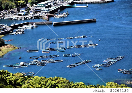 針尾公園からの風景　養殖いかだ群（日本の漁業：将来の姿がここに！）長島町鷹巣　出水郡　鹿児島県 89262186