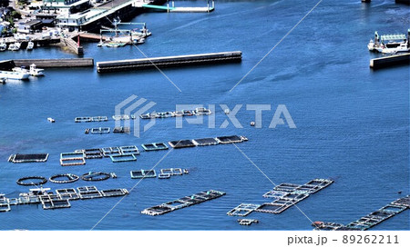 針尾公園からの風景　養殖いかだ群（日本の漁業：将来の姿がここに！）長島町鷹巣　出水郡　鹿児島県 89262211