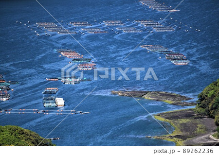 針尾公園からの風景　養殖いかだ群（日本の漁業：将来の姿がここに！）長島町鷹巣　出水郡　鹿児島県 89262236