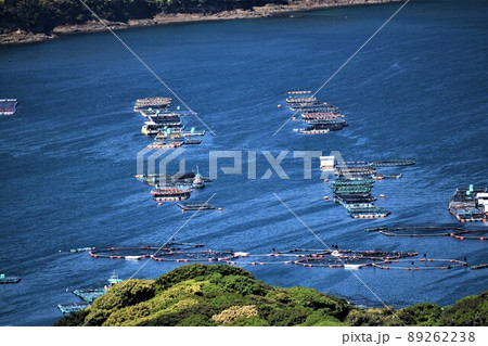 針尾公園からの風景 養殖いかだ群(食料の安全保障関連)長島町鷹巣 出水郡 鹿児島県 針尾公園からの風景 養殖いかだ群(食料の安全保障関連)長島町鷹巣 出水郡 鹿児島県 89262238