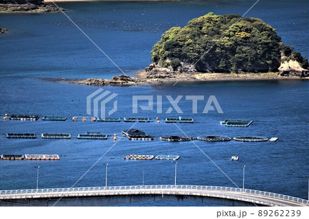 針尾公園からの風景　養殖いかだ群（日本の漁業：将来の姿がここに！）長島町鷹巣　出水郡　鹿児島県 89262239