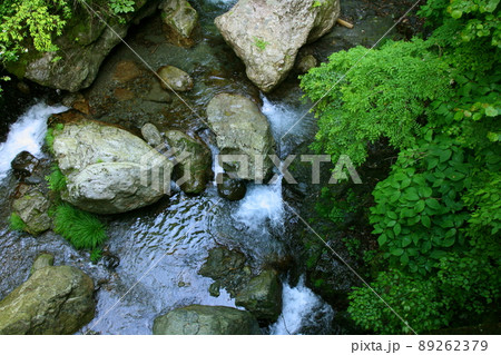 夏の清流 89262379