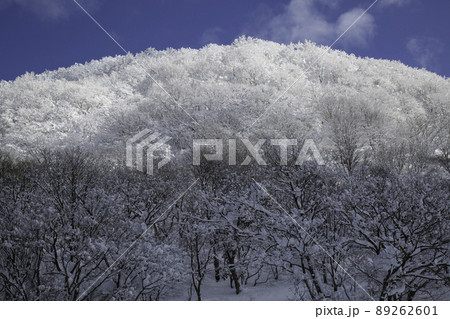 〔福井県/石川県・1月〕冬の取立山 樹氷の山 〔福井県/石川県・1月〕冬の取立山 樹氷の山 89262601