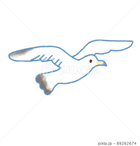 飛ぶカモメ 89262674