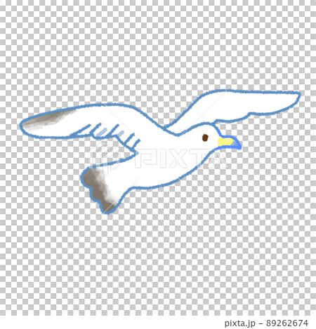 飛ぶカモメ 89262674