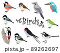 かわいい日本の野鳥イラストセット 89262697