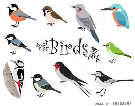 かわいい日本の野鳥イラストセットのイラスト素材 [89262697] - PIXTA