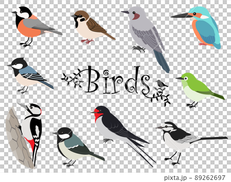 Cute Japanese wild bird illustration set Cute Japanese wild bird illustration set 89262697