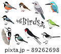 かわいい日本の野鳥イラストセット 89262698