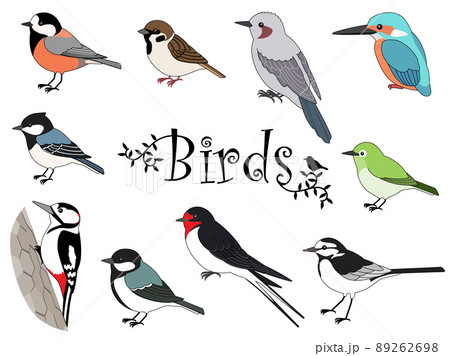 かわいい日本の野鳥イラストセットのイラスト素材