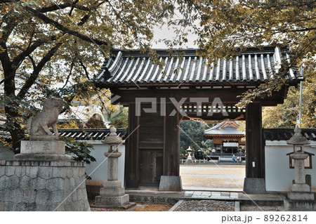 膳所神社 滋賀 膳所神社 滋賀 89262814