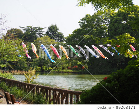善福寺公園のこいのぼり 89263171