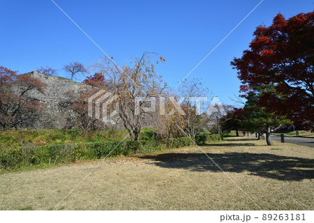 小峰城跡へ行きました #15 小峰城跡へ行きました #15 89263181